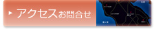 ANZX⍇